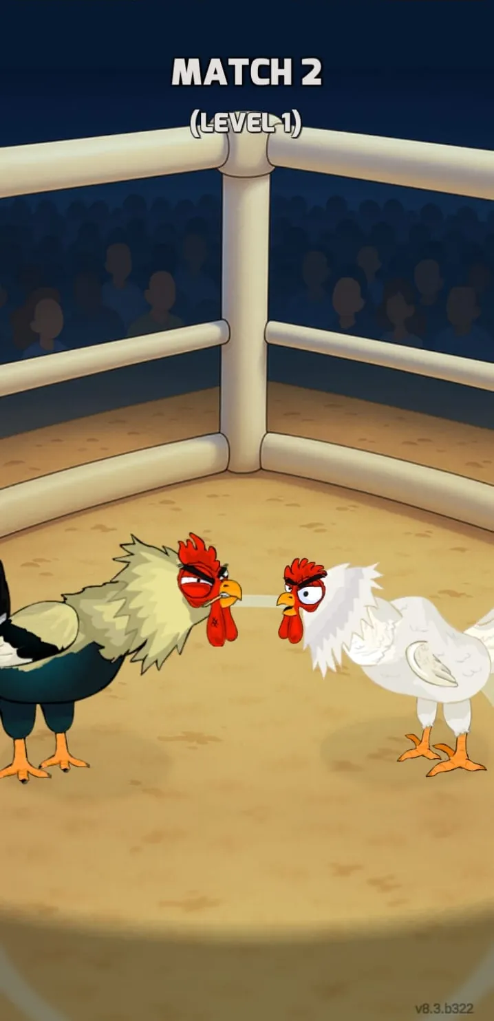 Two chickens face off before a Manok Na Pula match